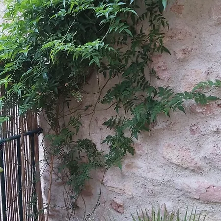 Paradisio 3* Nézignan-lʼÉvêque